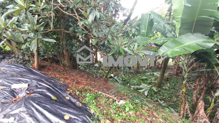 Imagem Terreno à Venda, 1.165 m² em Centro - Domingos Martins Imagem Terreno à Venda, 1.165 m² em Centro - Domingos Martins
