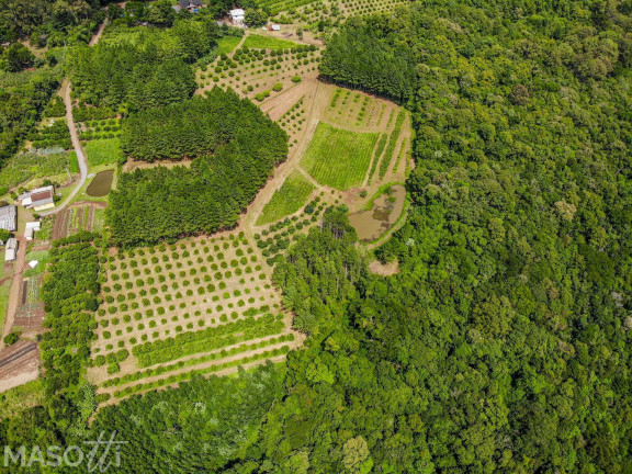 Imagem Chácara à Venda, 216.000 m² em Linha 28 - Gramado Imagem Chácara à Venda, 216.000 m² em Linha 28 - Gramado