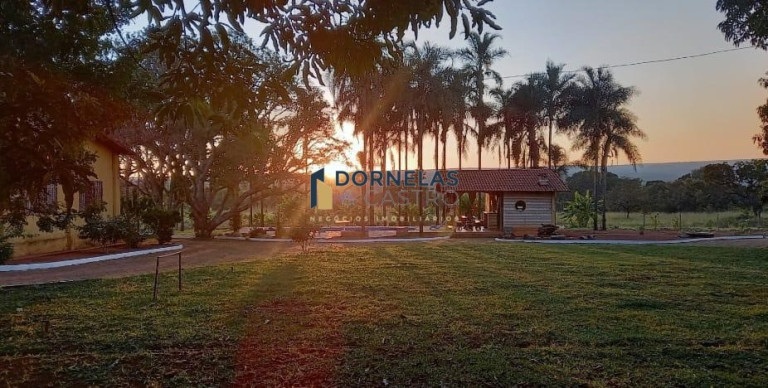 Imagem Imóvel com 3 Quartos à Venda, 20.000 m² em Setor Habitacional Tororó (jardim Botânico) - Brasília Imagem Imóvel com 3 Quartos à Venda, 20.000 m² em Setor Habitacional Tororó (jardim Botânico) - Brasília