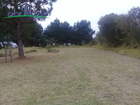 Imagem Casa à Venda, em Viamão Imagem Casa à Venda, em Viamão