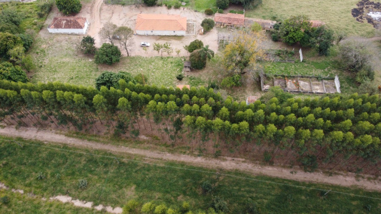 Imagem Imóvel com 6 Quartos à Venda, 16.600 m² em Jardim Paraíso Ii - Itu Imagem Imóvel com 6 Quartos à Venda, 16.600 m² em Jardim Paraíso Ii - Itu