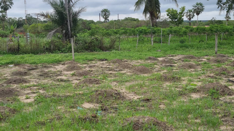 Imagem Terreno à Venda, 28.515 m² em Camará - Aquiraz