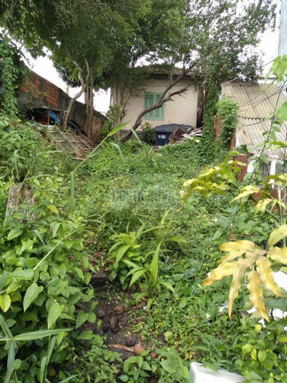 Imagem Terreno à Venda, 320 m² em Vila Maria Alta - São Paulo