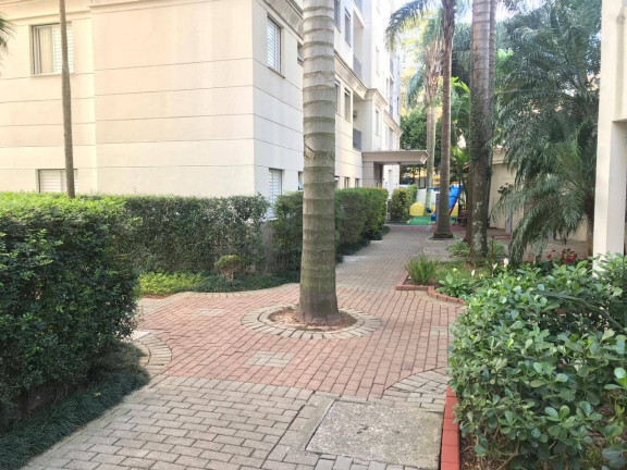 Imagem Apartamento com 2 Quartos à Venda, 50 m² em Vila Firmiano Pinto - São Paulo Imagem Apartamento com 2 Quartos à Venda, 50 m² em Vila Firmiano Pinto - São Paulo
