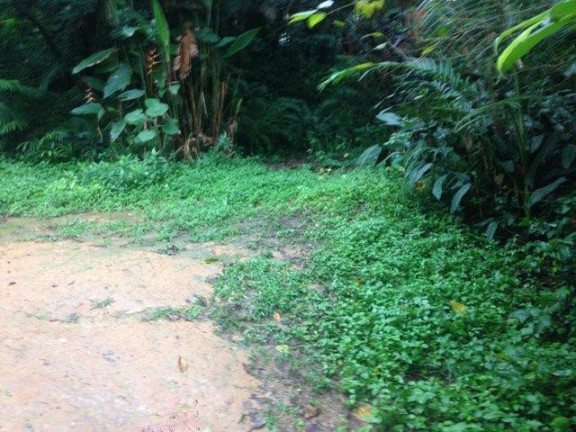 Imagem Terreno à Venda, 813 m² em Granja Viana - Cotia Imagem Terreno à Venda, 813 m² em Granja Viana - Cotia