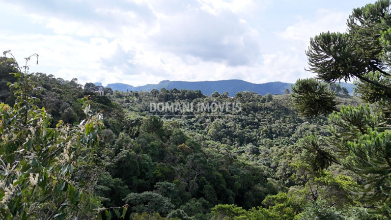Imagem Terreno à Venda, 1.275 m² em Região Do Parque Pedra Do Baú - Campos Do Jordão Imagem Terreno à Venda, 1.275 m² em Região Do Parque Pedra Do Baú - Campos Do Jordão