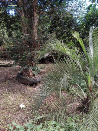 Imagem Casa à Venda, em São Carlos Imagem Casa à Venda, em São Carlos