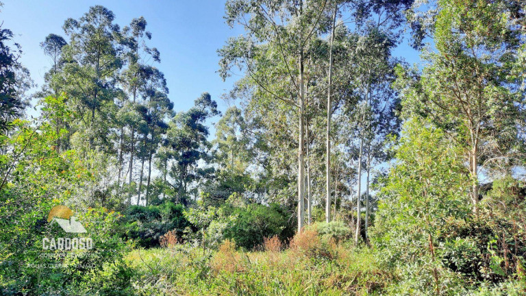 Imagem Fazenda à Venda, 100.000 m² em águas Claras - Viamão Imagem Fazenda à Venda, 100.000 m² em águas Claras - Viamão
