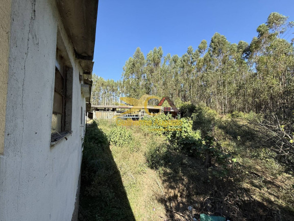 Imagem Chácara com 3 Quartos para Alugar, 30 m² em Morro Grande - São João Del Rei Imagem Chácara com 3 Quartos para Alugar, 30 m² em Morro Grande - São João Del Rei