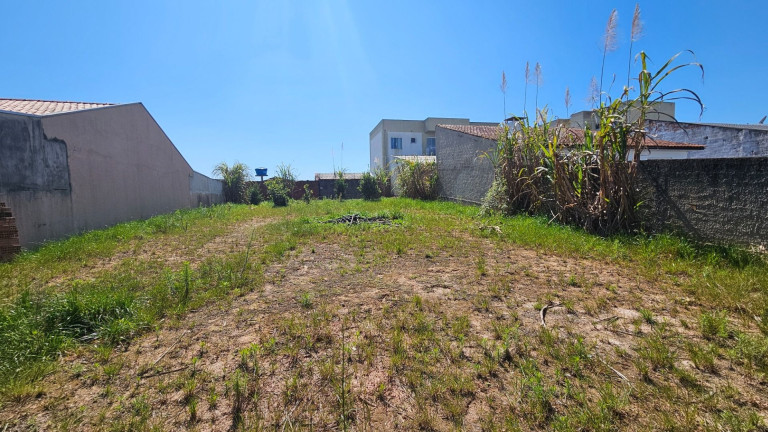 Terreno à Venda,  em Campina Da Barra - Araucaria