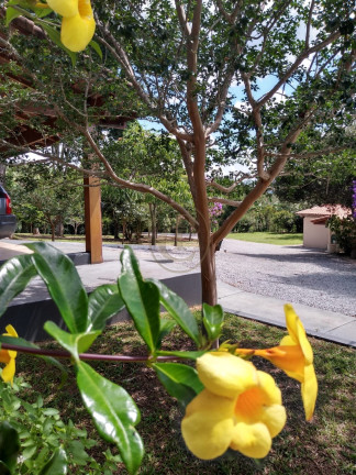 Imagem Chácara com 5 Quartos à Venda, 500 m² em Bairro Da Grama - Paraibuna
