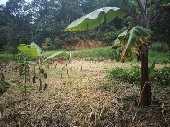 Imagem Imóvel à Venda,  em Ribeirão Da Velha - Nova Trento