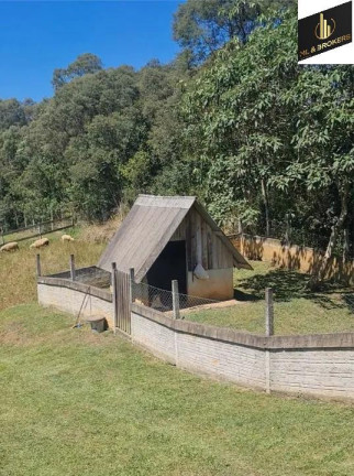 Imagem Imóvel com 4 Quartos à Venda, 46.000 m² em Freguesia Dos Laras - Campo Magro Imagem Imóvel com 4 Quartos à Venda, 46.000 m² em Freguesia Dos Laras - Campo Magro