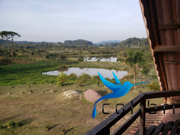 Imagem Chácara com 3 Quartos à Venda, 5.500 m² em Rio Da Várzea - Agudos Do Sul Imagem Chácara com 3 Quartos à Venda, 5.500 m² em Rio Da Várzea - Agudos Do Sul