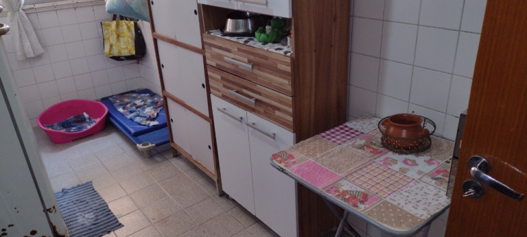Imagem Apartamento com 3 Quartos à Venda, 65 m² em Vila Emir - São Paulo
