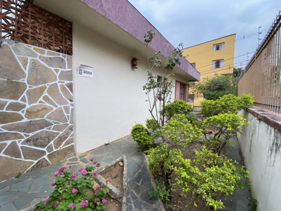Imagem Casa com 3 Quartos à Venda, 240 m² em Padre Eustáquio - Belo Horizonte