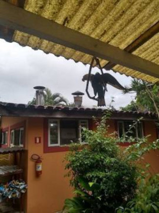 Imagem Casa com 2 Quartos à Venda, 200 m² em Boiçucanga - São Sebastião Imagem Casa com 2 Quartos à Venda, 200 m² em Boiçucanga - São Sebastião