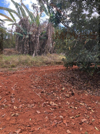 Imagem Chácara à Venda, 2.000 m² em Serra Azul