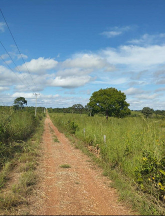Imagem Fazenda à Venda, 2.000 m² em Cuiabá Imagem Fazenda à Venda, 2.000 m² em Cuiabá