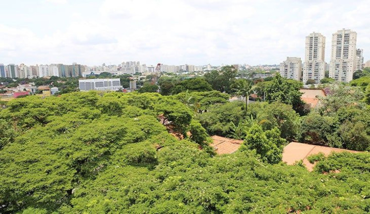 Imagem Sala Comercial à Venda, 51 m² em Campo Belo - São Paulo
