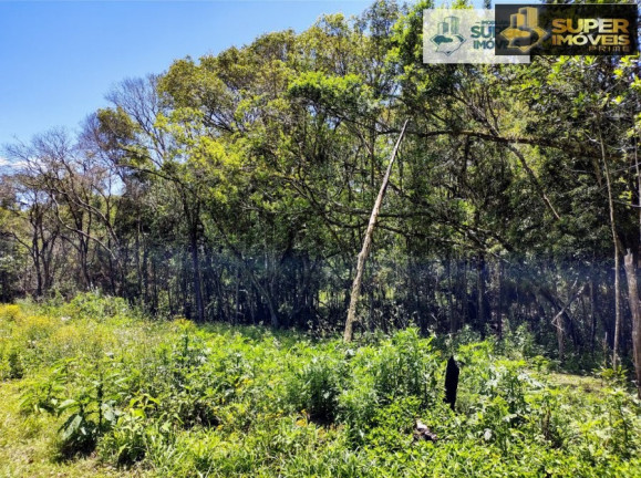 Imagem Imóvel com 1 Quarto à Venda, 30.000 m² em Cascata - Pelotas