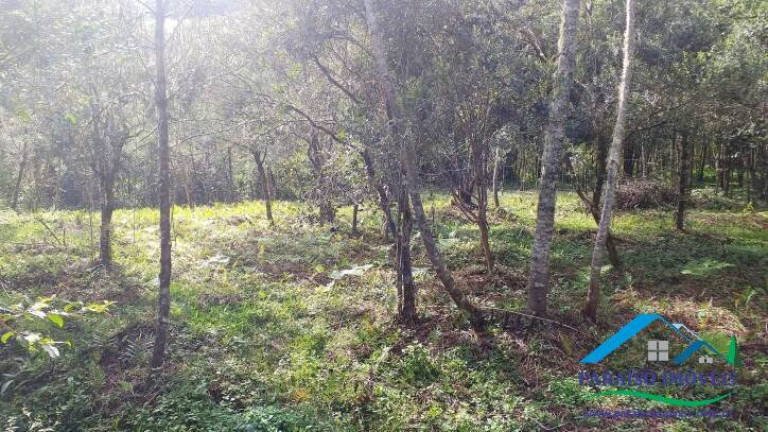Imagem Terreno à Venda, 10.794 m² em Centro - Gonçalves