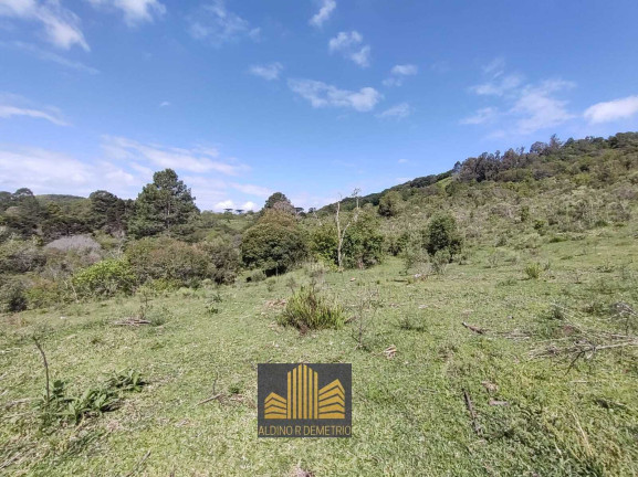 Imagem Fazenda à Venda, 5.000 m² em Linha 40 - Caxias Do Sul Imagem Fazenda à Venda, 5.000 m² em Linha 40 - Caxias Do Sul