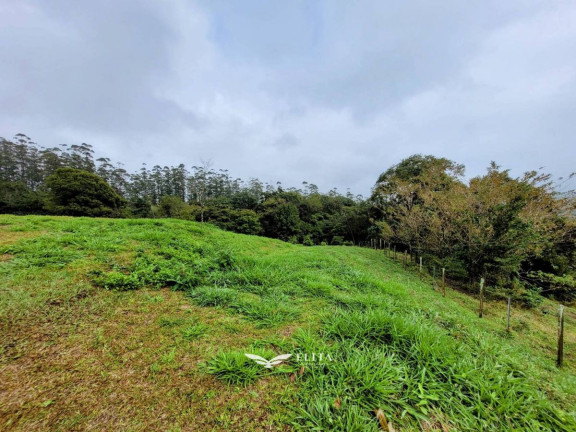 Imagem Chácara à Venda, 24.900 m² em Três Rios Do Norte - Jaraguá Do Sul Imagem Chácara à Venda, 24.900 m² em Três Rios Do Norte - Jaraguá Do Sul