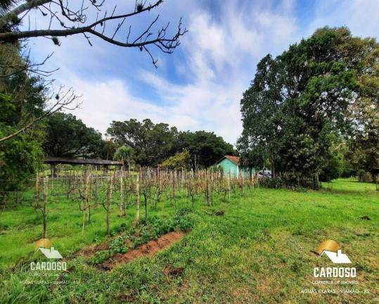 Imagem Fazenda à Venda, 125.000 m² em águas Claras - Viamão Imagem Fazenda à Venda, 125.000 m² em águas Claras - Viamão