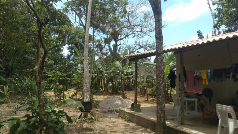 Imagem Chácara com 1 Quarto à Venda, 1.000 m² em Praia Da Maranduba - Ubatuba