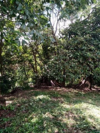 Imagem Terreno à Venda, 350 m² em Jardim Celeste - Jundiaí Imagem Terreno à Venda, 350 m² em Jardim Celeste - Jundiaí