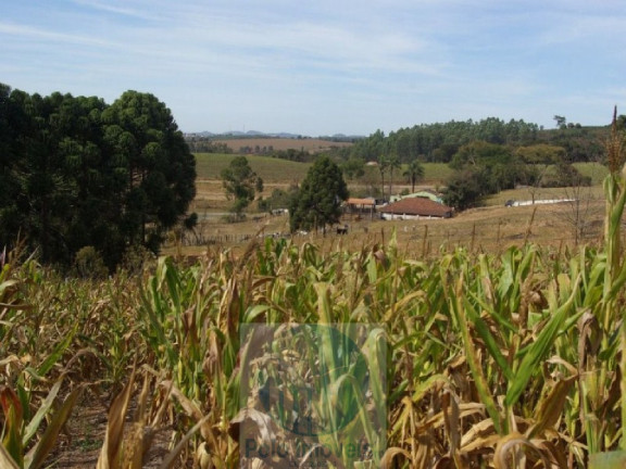 Imagem Imóvel com 2 Quartos à Venda, 665.000 m² em Zona Rural - Jacui Imagem Imóvel com 2 Quartos à Venda, 665.000 m² em Zona Rural - Jacui