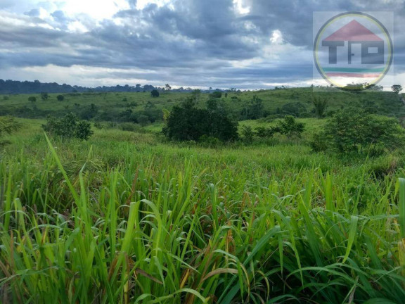 Imagem Fazenda à Venda, 105.512 m² em Logradouro Sem Nome, Marabá - Pa, Brasil -5.523790, -49.041041 - Marabá Imagem Fazenda à Venda, 105.512 m² em Logradouro Sem Nome, Marabá - Pa, Brasil -5.523790, -49.041041 - Marabá