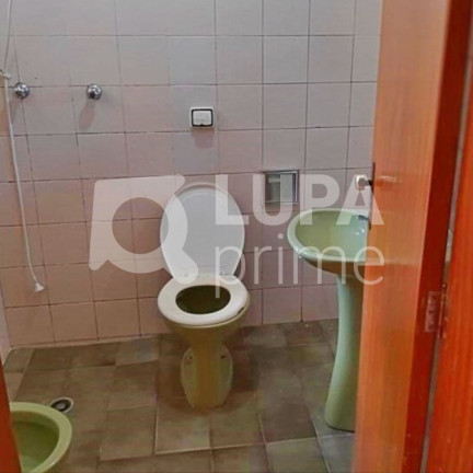 Imagem Casa com 3 Quartos à Venda, 189 m² em Vila Maria Alta - São Paulo