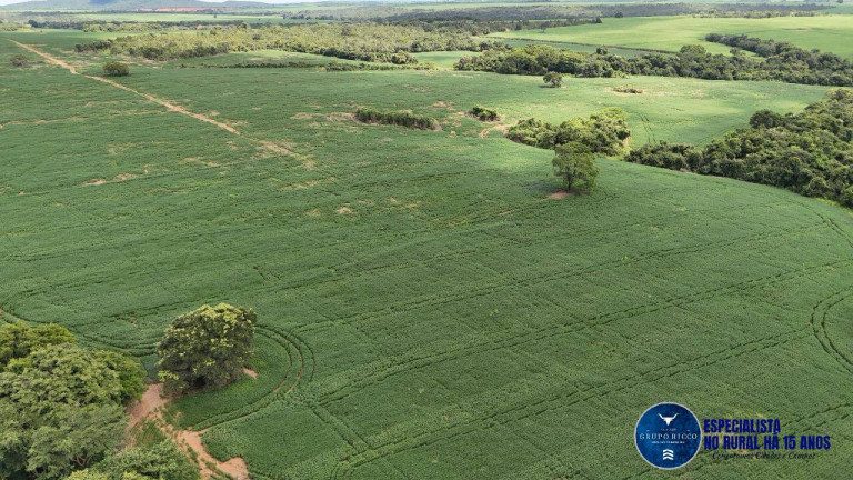 Imagem Fazenda à Venda, 39 m² em Zona Rural - Goianésia Imagem Fazenda à Venda, 39 m² em Zona Rural - Goianésia