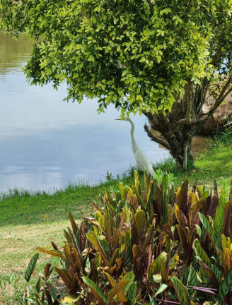 Imagem Terreno em Condomínio à Venda, 720 m² em San Fernando Valley - Atibaia Imagem Terreno em Condomínio à Venda, 720 m² em San Fernando Valley - Atibaia