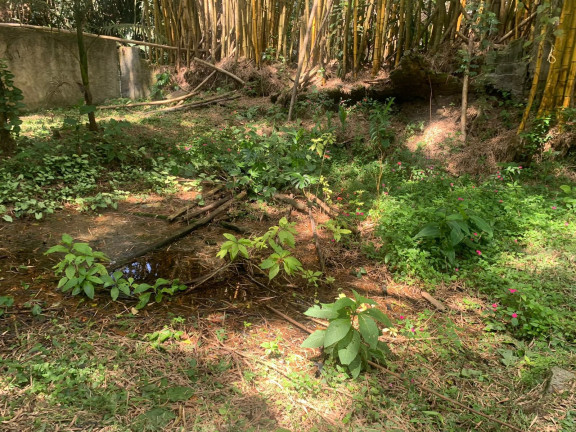 Imagem Fazenda à Venda, 1.560 m² em Vila Caputera - Mogi Das Cruzes Imagem Fazenda à Venda, 1.560 m² em Vila Caputera - Mogi Das Cruzes