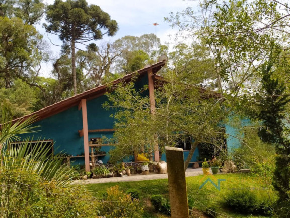 Imagem Chácara com 3 Quartos à Venda, 194 m² em Campestre Da Faxina - São José Dos Pinhais Imagem Chácara com 3 Quartos à Venda, 194 m² em Campestre Da Faxina - São José Dos Pinhais