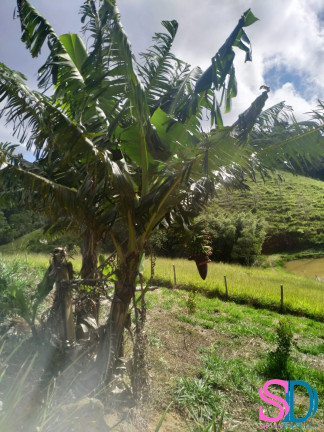 Imagem Fazenda à Venda, 30.123.417 m² em Centro - São Luiz Do Paraitinga