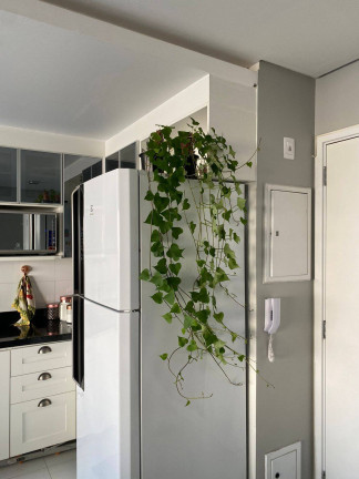 Imagem Apartamento com 2 Quartos à Venda, em São Paulo Imagem Apartamento com 2 Quartos à Venda, em São Paulo