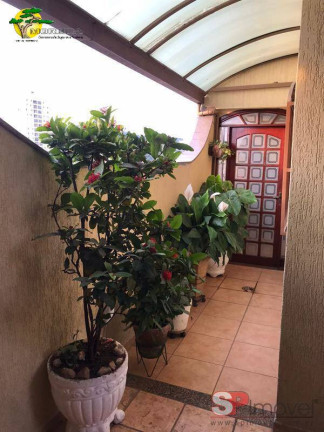 Imagem Sobrado com 3 Quartos à Venda, 320 m² em Parque Mandaqui - São Paulo