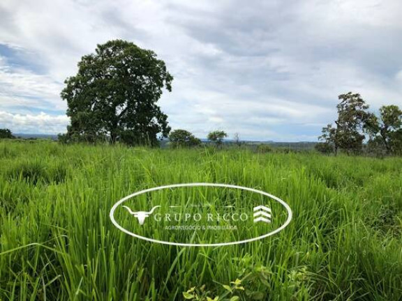 Imagem Fazenda à Venda, em Zona Rural - Guiratinga Imagem Fazenda à Venda, em Zona Rural - Guiratinga