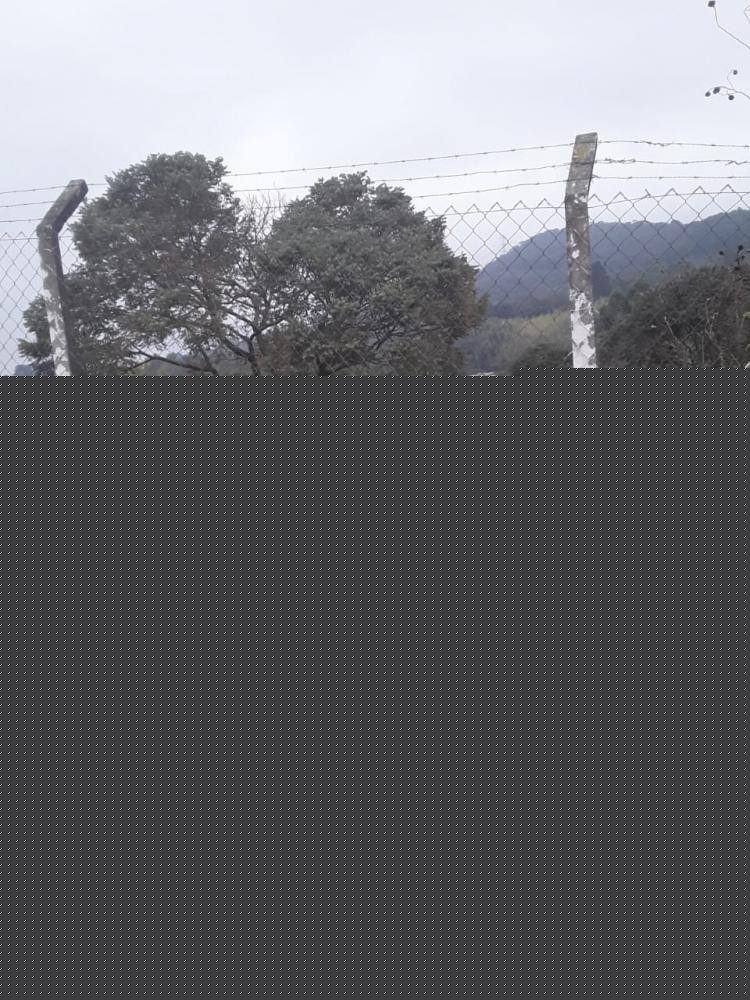 Imagem Terreno à Venda, 1.600 m² em Caete (mailasqui) - São Roque