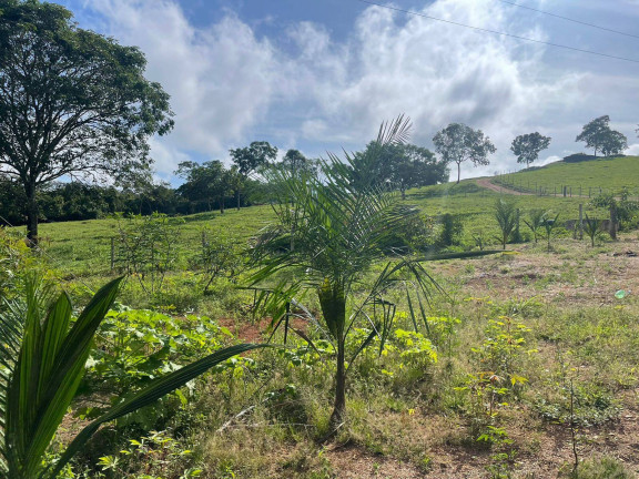 Imagem Chácara à Venda, 12 m² em Zona Rural - Vianópolis Imagem Chácara à Venda, 12 m² em Zona Rural - Vianópolis