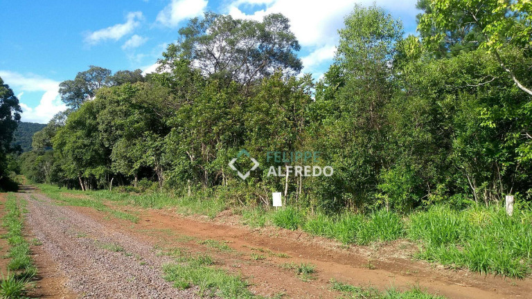 Imagem Imóvel Comercial à Venda, 9.893 m² em Loteamento Popular Picada - Dois Irmãos Imagem Imóvel Comercial à Venda, 9.893 m² em Loteamento Popular Picada - Dois Irmãos