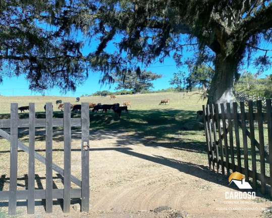 Imagem Imóvel com 2 Quartos à Venda, 250.000 m² em Estância Grande - Viamão