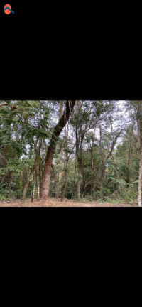 Imagem Chácara à Venda, 1.079 m² em Cercado - Araçoiaba Da Serra Imagem Chácara à Venda, 1.079 m² em Cercado - Araçoiaba Da Serra