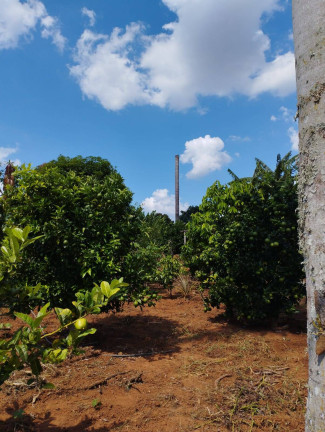 Imagem Chácara com 2 Quartos à Venda, 1.400 m² em Jardim Cananéia - Pilar Do Sul Imagem Chácara com 2 Quartos à Venda, 1.400 m² em Jardim Cananéia - Pilar Do Sul