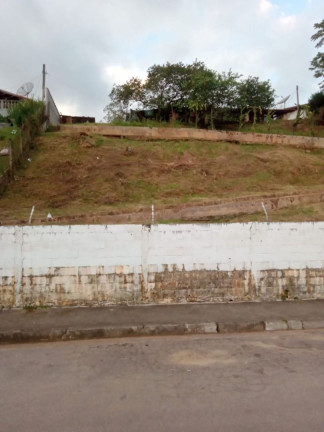 Imagem Chácara com 3 Quartos à Venda, 300 m² em Vila Amelia - Paraibuna Imagem Chácara com 3 Quartos à Venda, 300 m² em Vila Amelia - Paraibuna