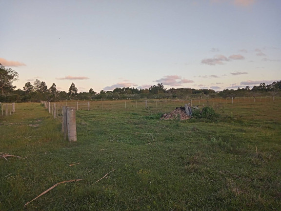 Imagem Chácara com 2 Quartos à Venda, 20.000 m² em águas Claras - Viamão
